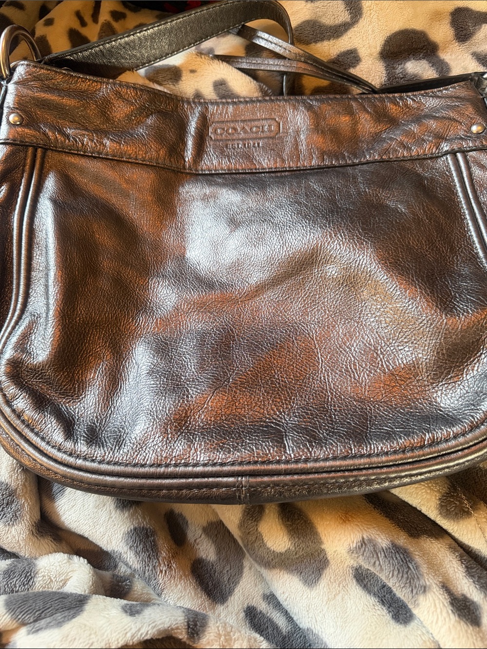 Coach Zoe Hobo Leather Shoulder Bag in Brown & Black